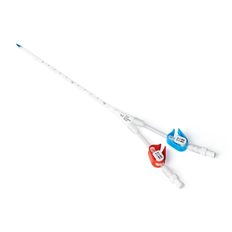 What Are the Different Types of Hemodialysis Catheters?